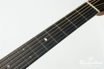 D-28B Brazilian Rosewood / Adirondack Spruce [サウンドメッセin大阪2024]